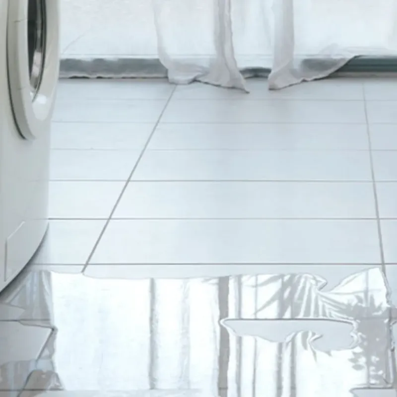Appliance Leak Cleanup in Eagle Lake, WI