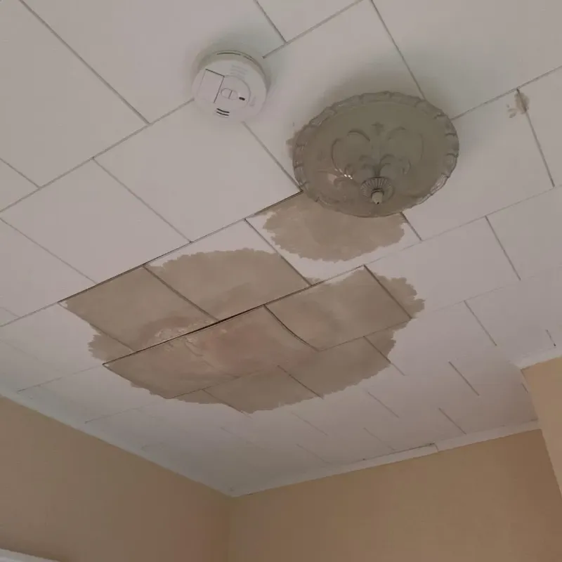 Ceiling Water Damage Repair in Eagle Lake, WI