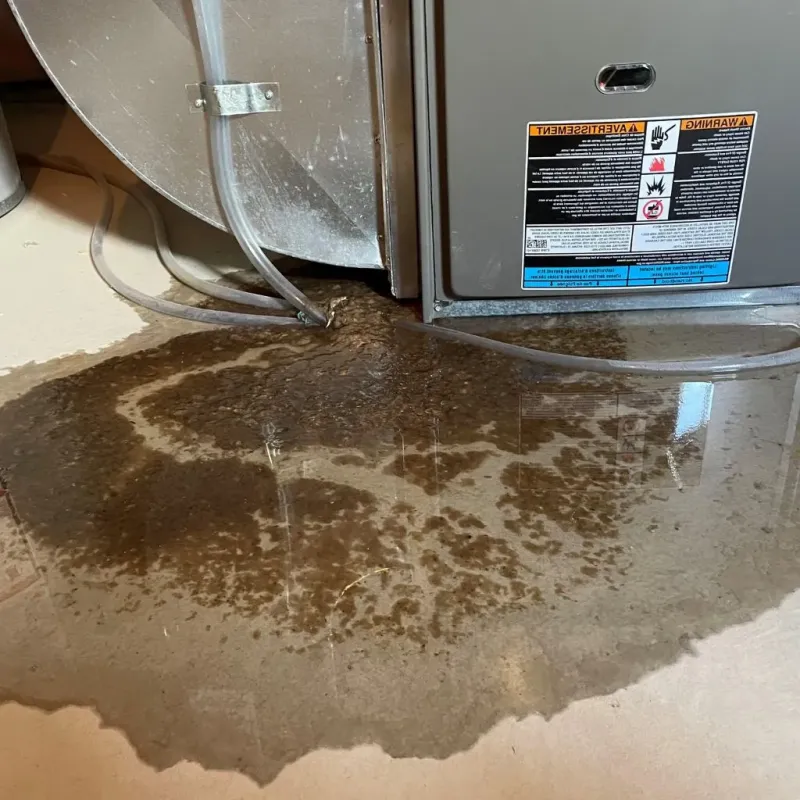 Pipe Burst and Leak Restoration in Eagle Lake, WI